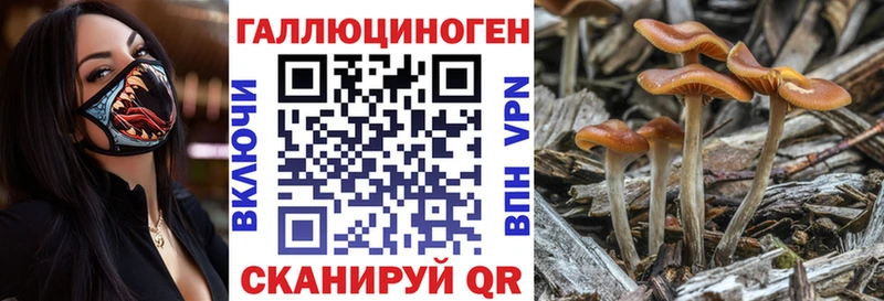 Купить где  Нязепетровск  Псилоцибиновые грибы MAGIC MUSHROOMS 